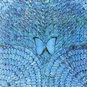 Image of Borboletta by Santana CD Album