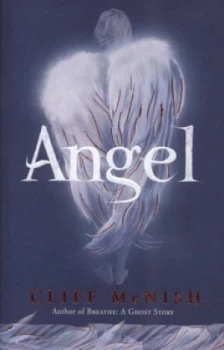 Image of Angel by Cliff Mcnish Hardback