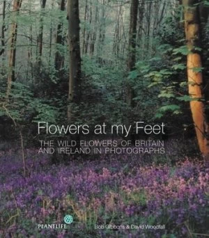 Image of Flowers at My Feet by Bob Gibbons Hardback