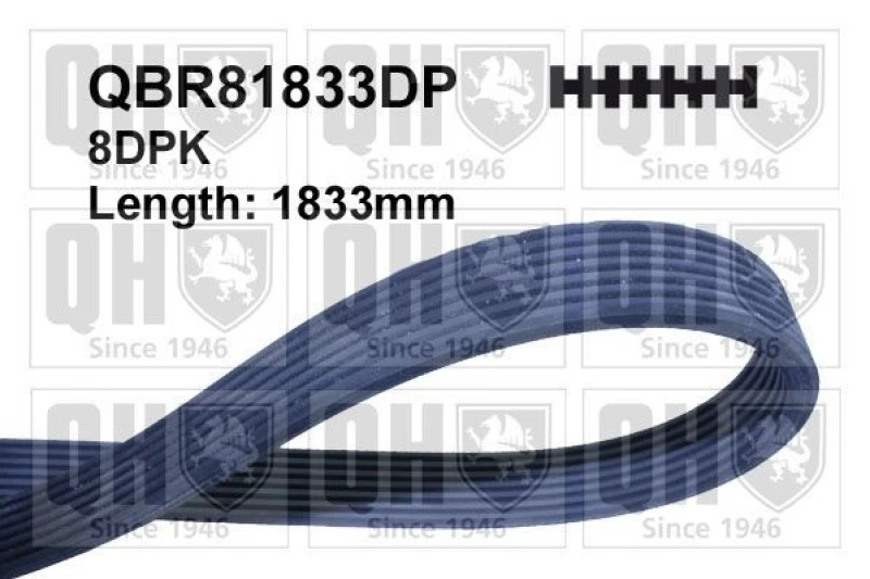 Image of QUINTON HAZELL Serpentine belt QUINTON HAZELL QBR81833DP