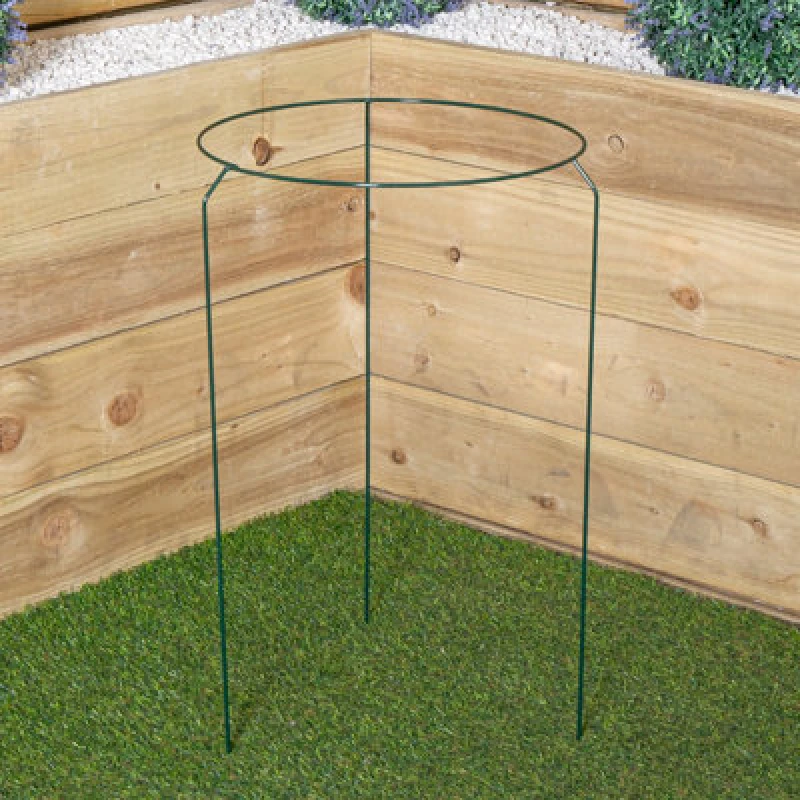 Image of Samuel Alexander Tom Chambers Urban Metal Herbaceous Garden Plant Support Ring Large 40cm x 60cm Dark Green