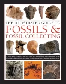 Image of Fossils & Fossil Collecting, The Illustrated Guide to : A reference guide to over 375 plant and animal fossils from around the globe and how to identi