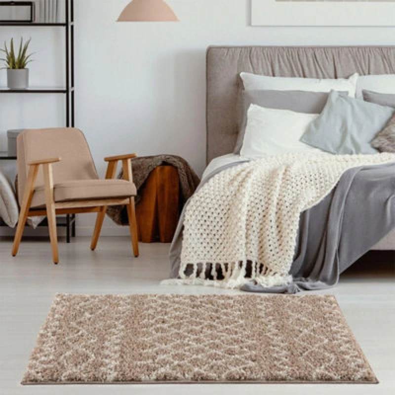 Image of The Rugs Moroccan Beige Shaggy Living Room Rug 920