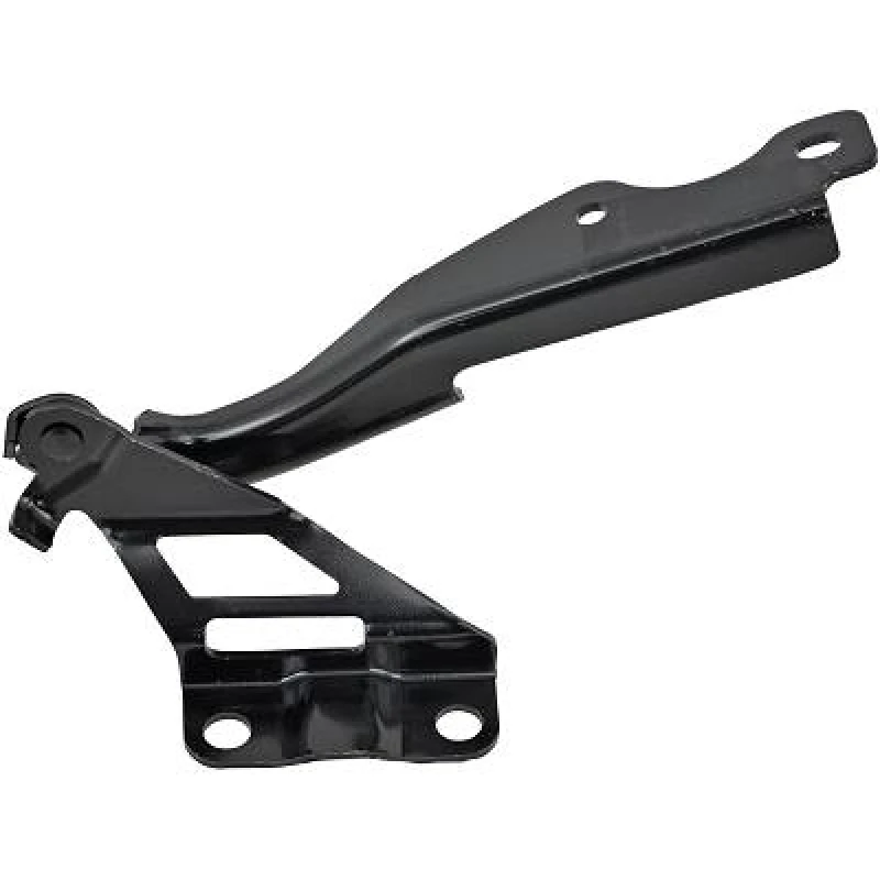 Image of Hinge, bonnet DIEDERICHS 5620018