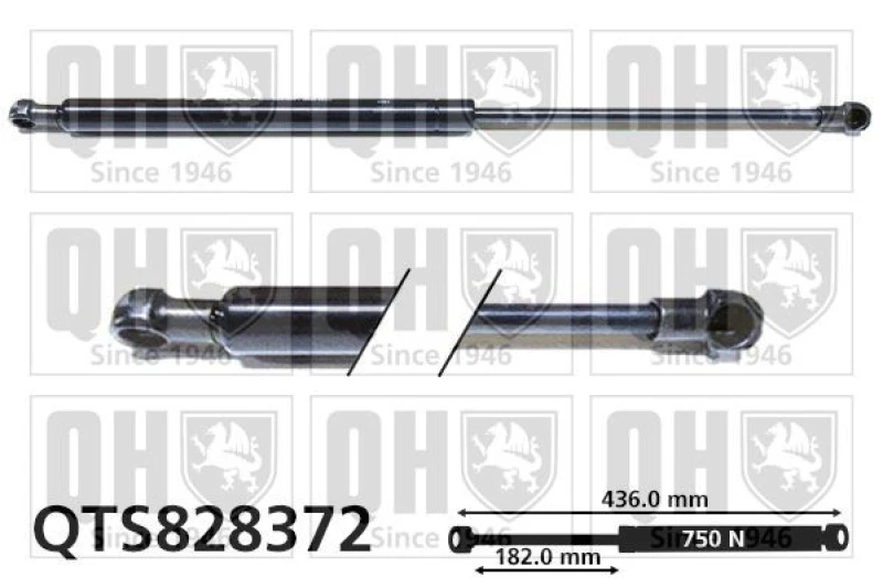Image of QUINTON HAZELL Tailgate strut QUINTON HAZELL QTS828372