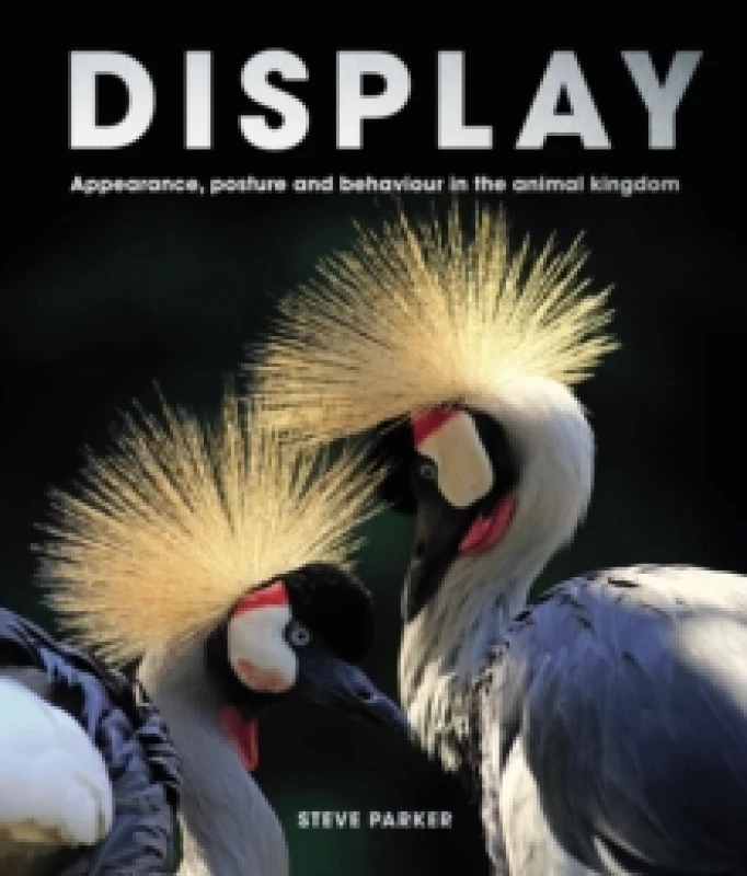 Image of Display : Appearance, posture and behaviour in the animal kingdom Hardback