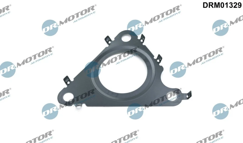 Image of DR.MOTOR AUTOMOTIVE EGR valve gasket DR.MOTOR AUTOMOTIVE DRM01329