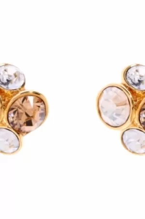 image of Ted Baker Ladies PVD Gold plated Lynda Jewel Cluster Stud Earring TBJ496-02-62