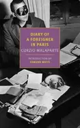 Image of diary of a foreigner in paris
