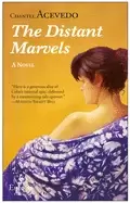 Image of distant marvels a novel