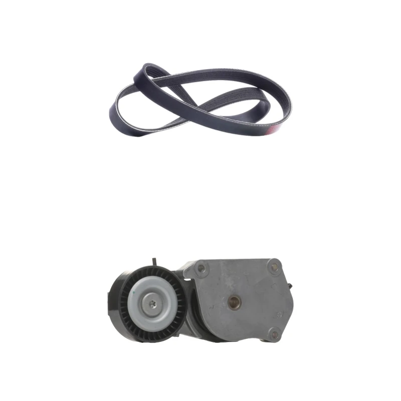 Image of RIDEX 542R0428 V-ribbed belt set V-Ribbed Belt Set (542)