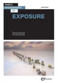 Image of Exposure by David Prkel Paperback