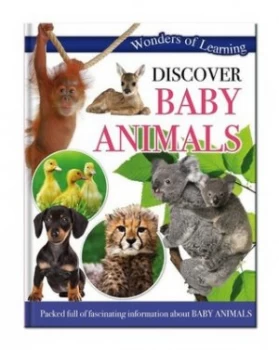 Image of Discover Baby Animals Hardback