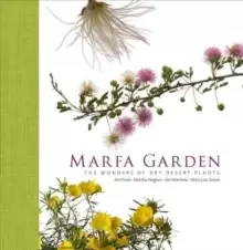 Image of Marfa Garden : The Wonders of Dry Desert Plants