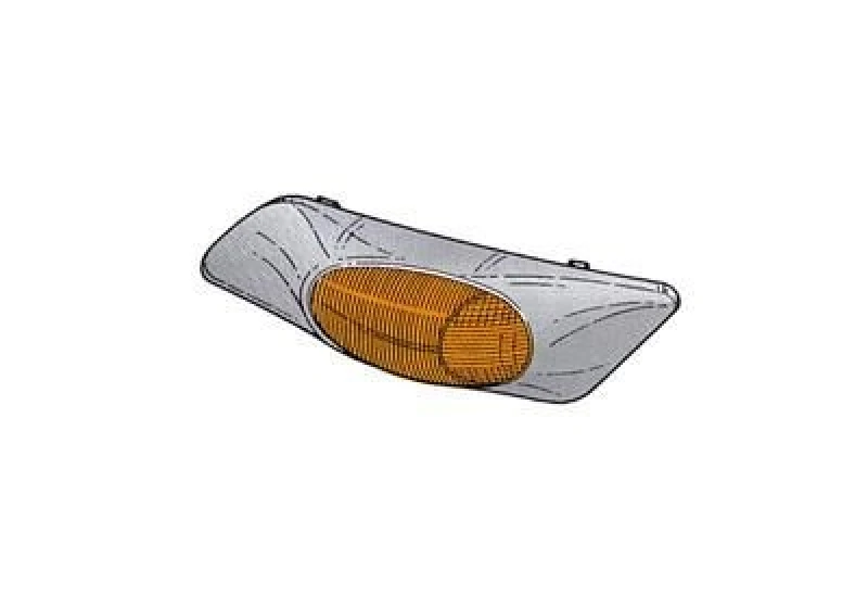 Image of VAN WEZEL Side indicator VAN WEZEL 2813914
