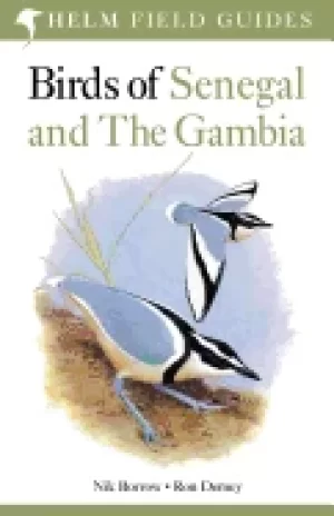 Image of birds of senegal and the gambia