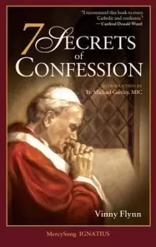Image of 7 Secrets of Confession by Vinny Flynn