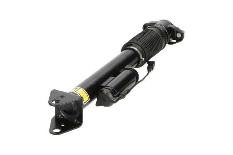 Image of KAVO PARTS Air suspension strut KAVO PARTS SAS-10007