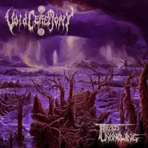 Image of Voidceremony Threads of unknowing CD multicolor