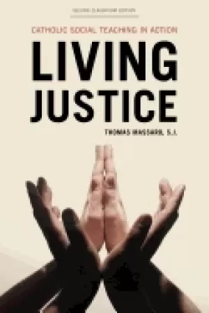 Image of living justice catholic social teaching in action