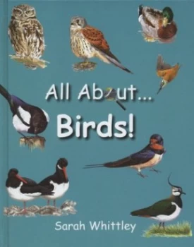 Image of All about Birds by Sarah Whittley Hardback