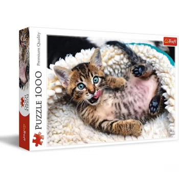 Image of Kitten Jigsaw Puzzle - 1000 Pieces