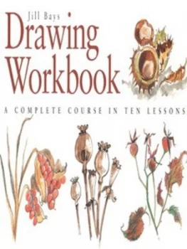 Image of Drawing Workbook by Jill Bays Book