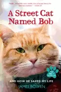 Image of street cat named bob and how he saved my life