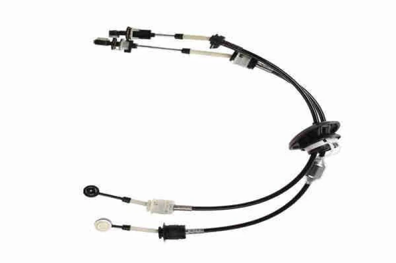 Image of VAICO Gear selector cable VAICO V22-0955