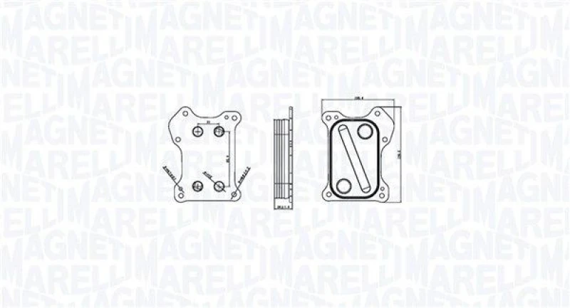 Image of MAGNETI MARELLI Engine oil cooler MAGNETI MARELLI 350300000800