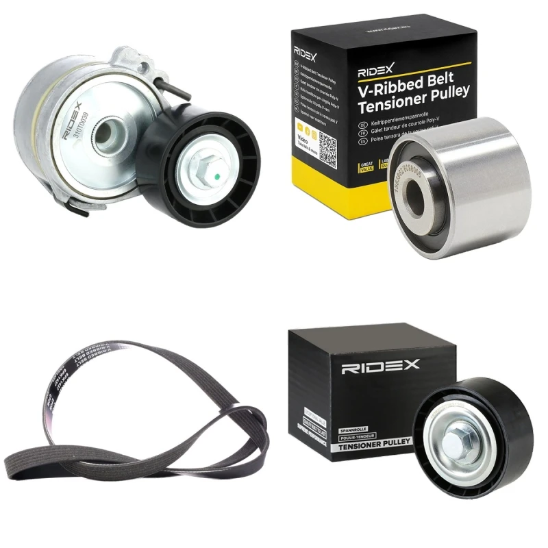 Image of RIDEX 542R0132 V-ribbed belt set V-Ribbed Belt Set (542)