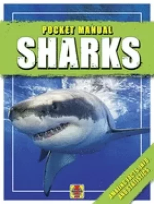 Image of sharks amazing facts info and statistics