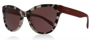 image of Prada PR21SS Sunglasses Spotted Brown UAO0A0 56mm