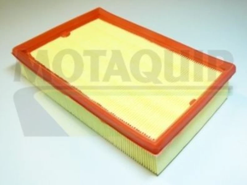 Image of MOTAQUIP Air filter MOTAQUIP VFA1073