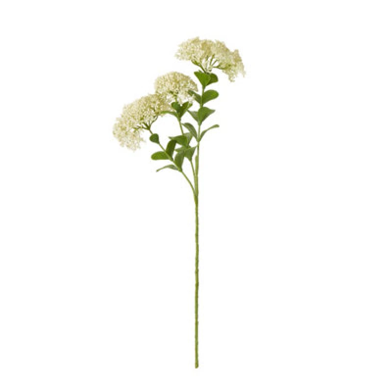 Image of Cream Sedum Spray