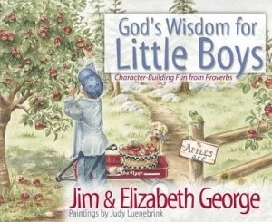 Image of Gods Wisdom for Little Boys by Jim George Hardback