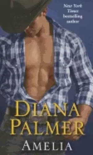 Image of amelia a novel