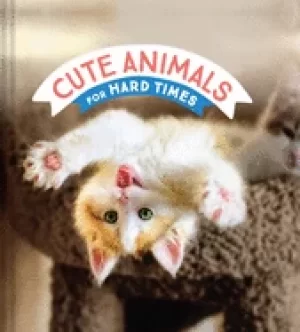 Image of cute animals for hard times