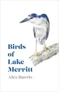 Image of birds of lake merritt