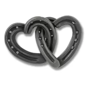 Image of Cast Iron Horse Shoes Wall Hanger