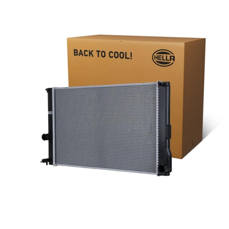 Image of HELLA Engine radiator HELLA 8MK 366 300-361