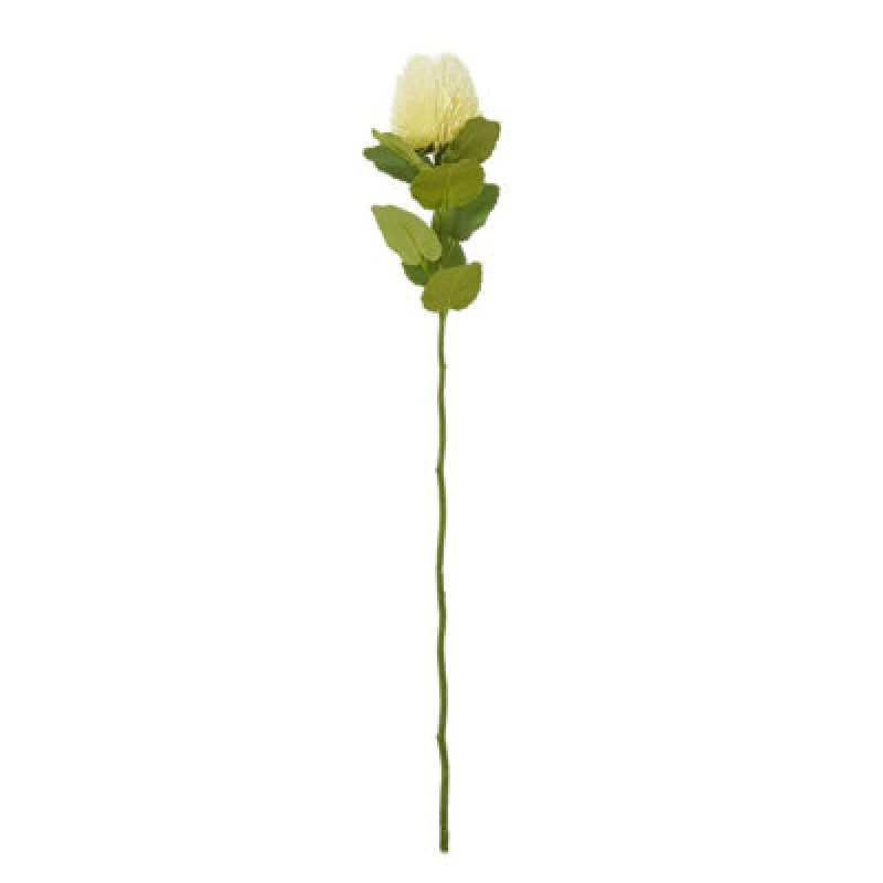Image of Hill Interiors Banksia Stem Artificial Plant Cream (One Size)