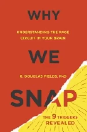 Image of why we snap understanding the rage circuit in your brain