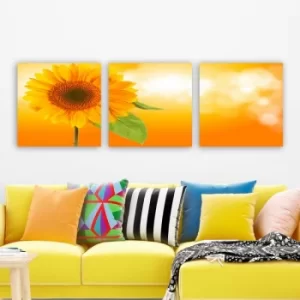 Image of P939999 Multicolor Decorative Canvas Painting (3 Pieces)
