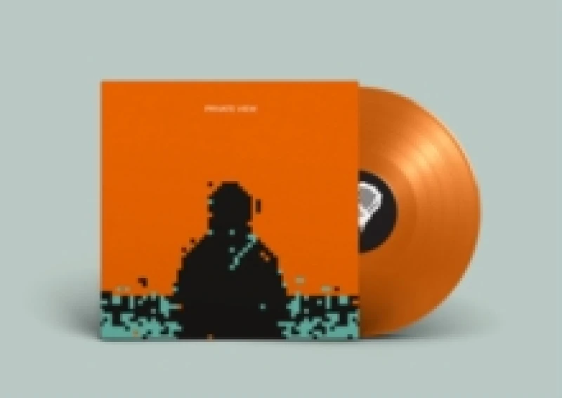 Image of Private View Vinyl