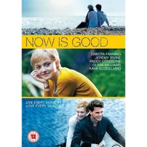 Image of Now Is Good DVD