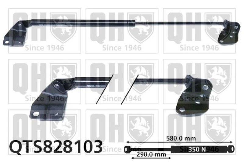 Image of QUINTON HAZELL Tailgate strut QUINTON HAZELL QTS828103