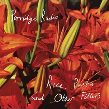 image of Porridge Radio - Rice, Pasta and Other Fillers CD