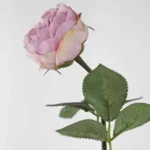 Image of Crossland Grove Rose Stem Lilac (12Pk) 370Mm