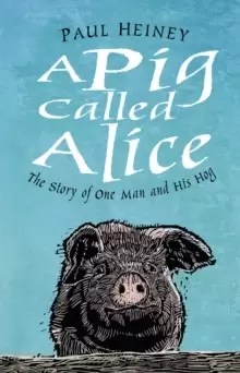 Image of A Pig Called Alice : The Story of One Man and His Hog